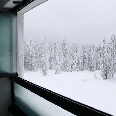 Vini * Jahorina